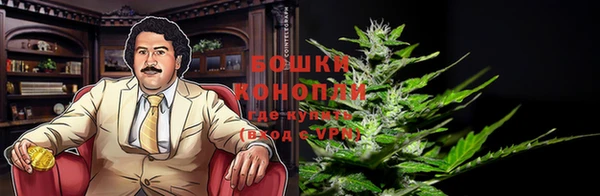 ALPHA-PVP Щигры