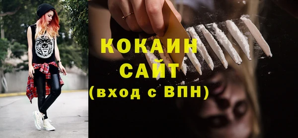 дмт Щёлкино