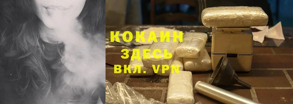 дмт Щёлкино