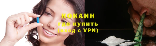 дмт Щёлкино