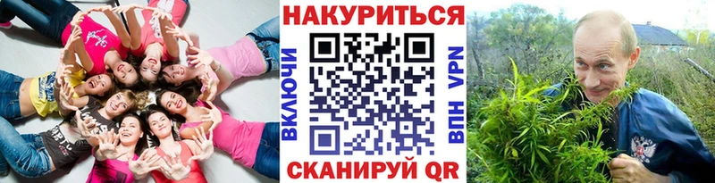 Бошки Шишки гибрид  Багратионовск 